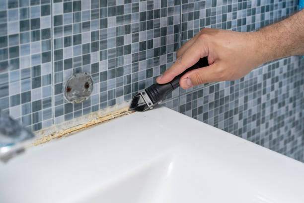 Best Mold Cleaning Services  in Lake Stickney, WA