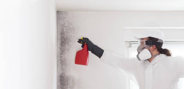 Best Emergency Mold Removal  in Lake Stickney, WA